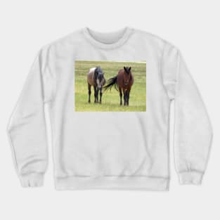 Wild horses, wildlife, gifts, California, True Beauty Crewneck Sweatshirt